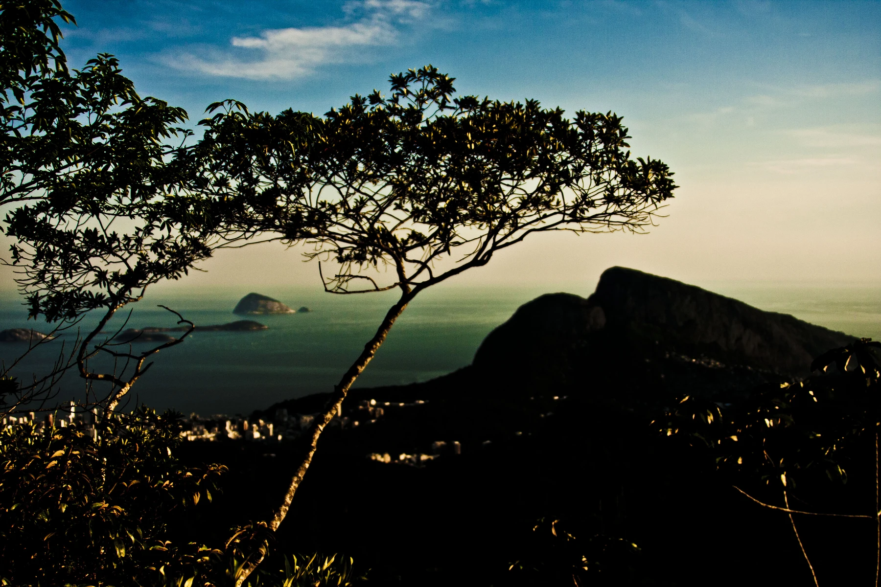 Silhueta de uma árvore diante de uma paisagem de montanhas